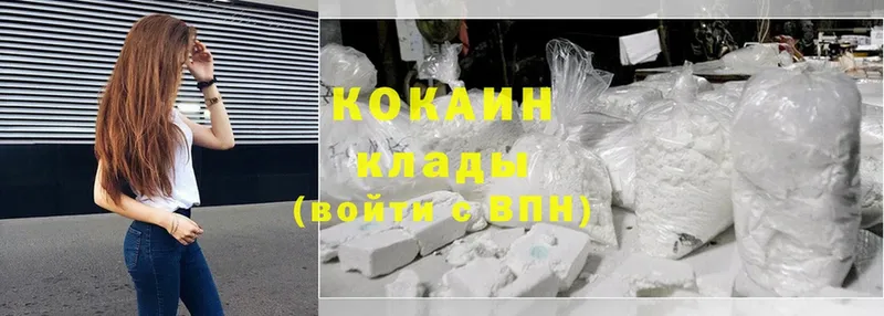 Cocaine FishScale  цены наркотик  Гаврилов-Ям 