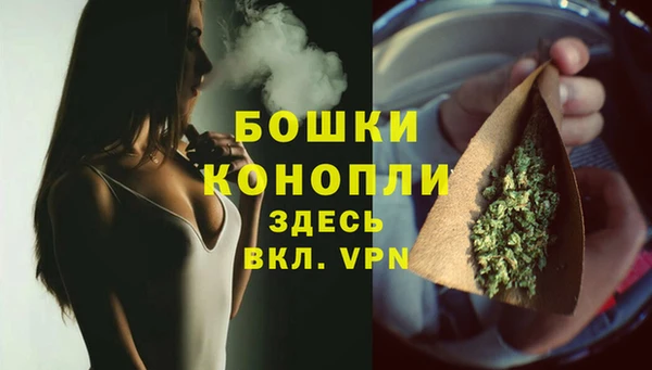 гидропоника Белокуриха