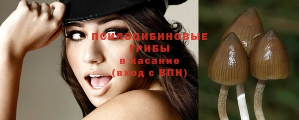 гидропоника Белокуриха