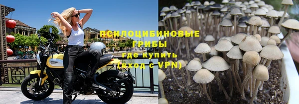 гидропоника Белокуриха