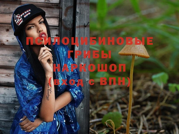 гидропоника Белокуриха